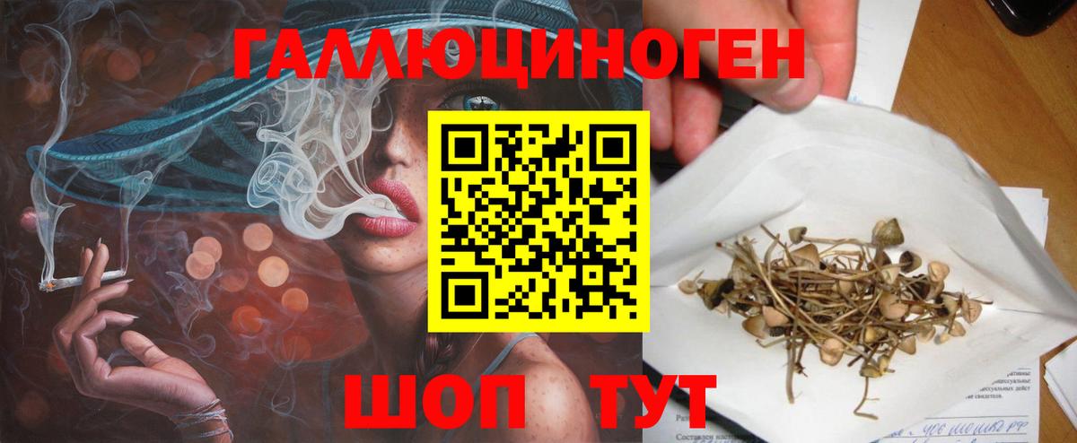 Псилоцибиновые грибы мицелий Миллерово